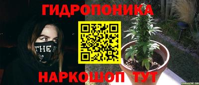 ПСИЛОЦИБИНОВЫЕ ГРИБЫ Тула