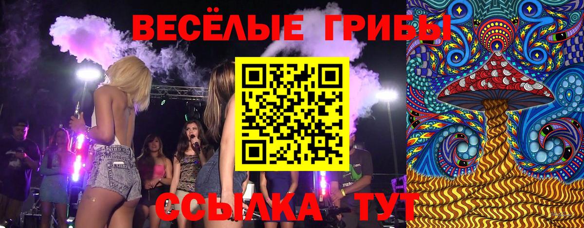 Галлюциногенные грибы MAGIC MUSHROOMS Нефтекумск