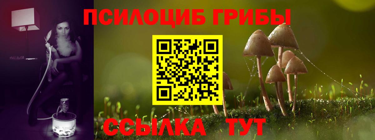 Псилоцибиновые грибы прущие грибы  Вход с VPN  Нефтекумск 